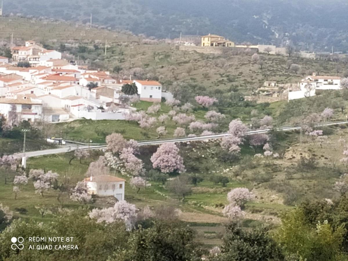 TahalCasa La Colina Mandarina II Casa De Madera别墅 外观 照片