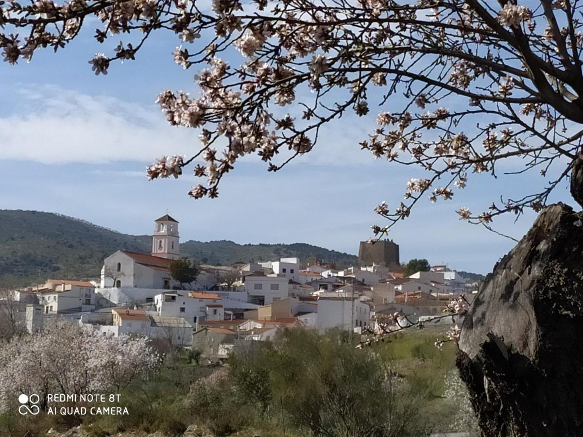 TahalCasa La Colina Mandarina II Casa De Madera别墅 外观 照片