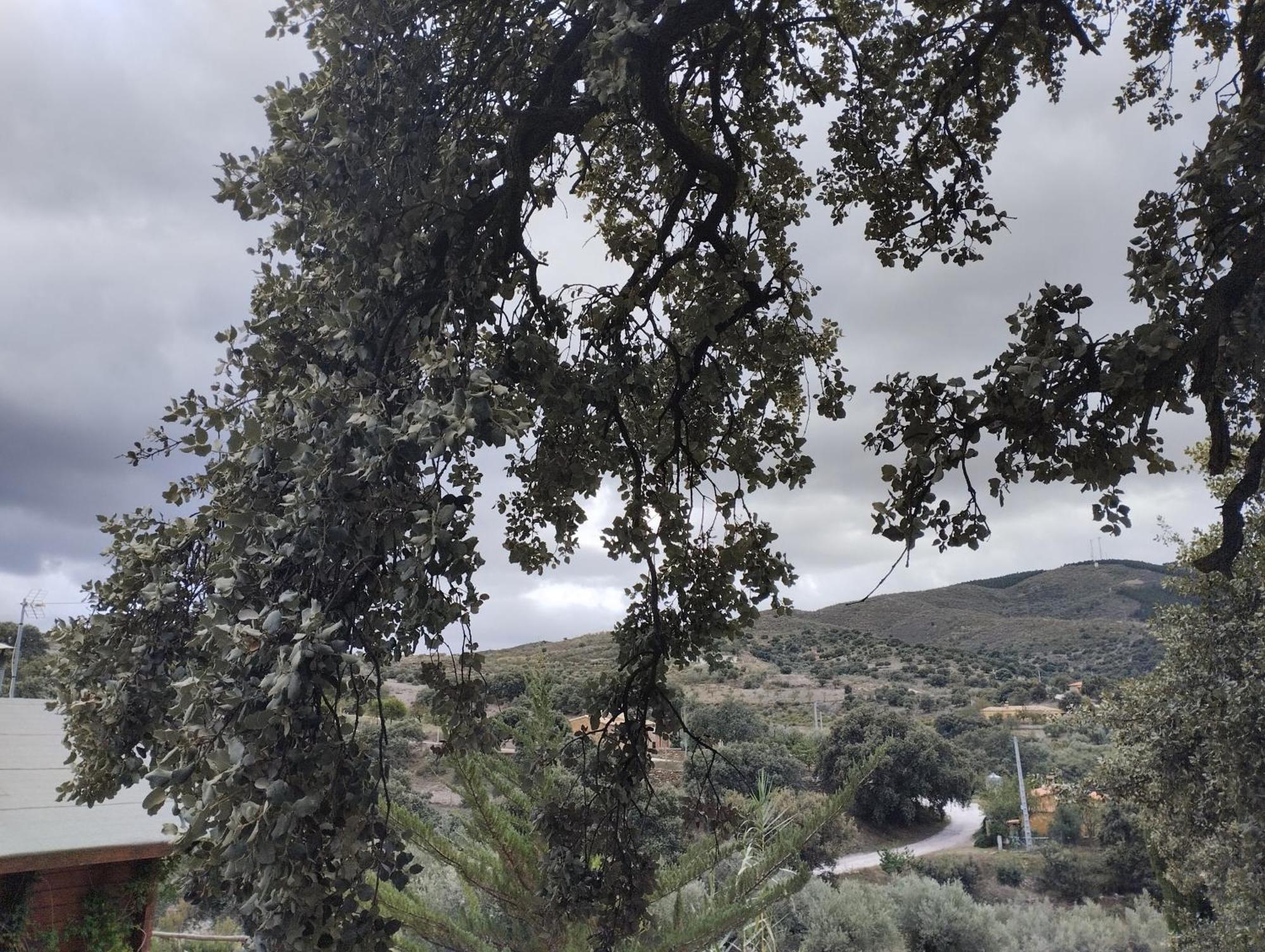 TahalCasa La Colina Mandarina II Casa De Madera别墅 外观 照片