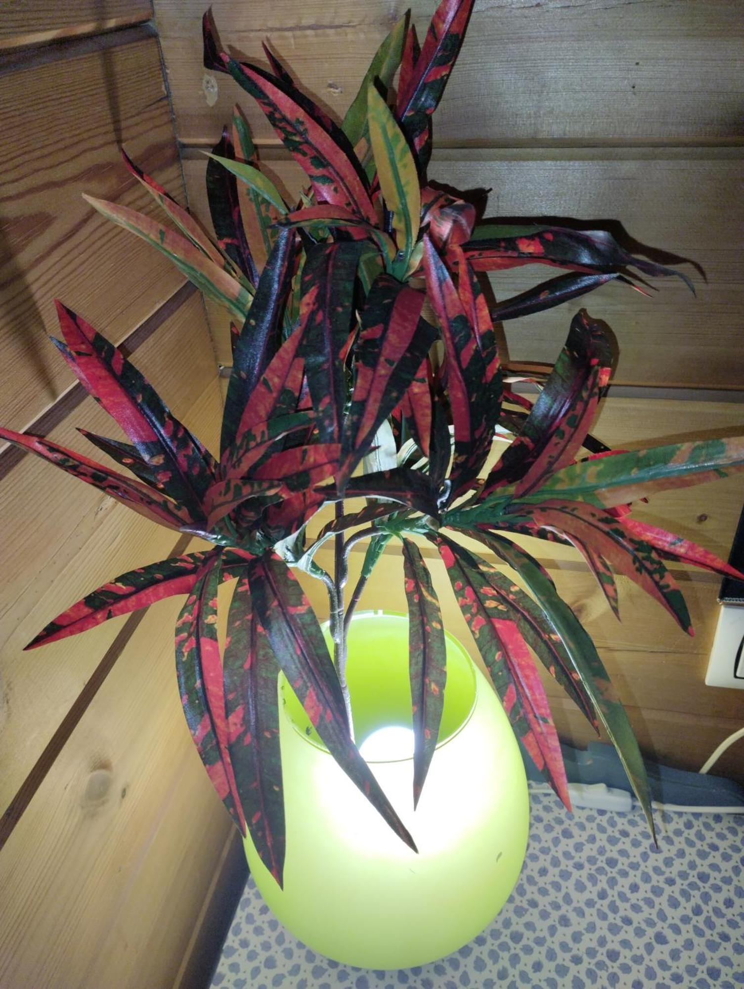 TahalCasa La Colina Mandarina II Casa De Madera别墅 外观 照片