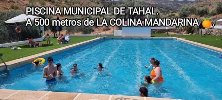 TahalCasa La Colina Mandarina II Casa De Madera别墅 外观 照片