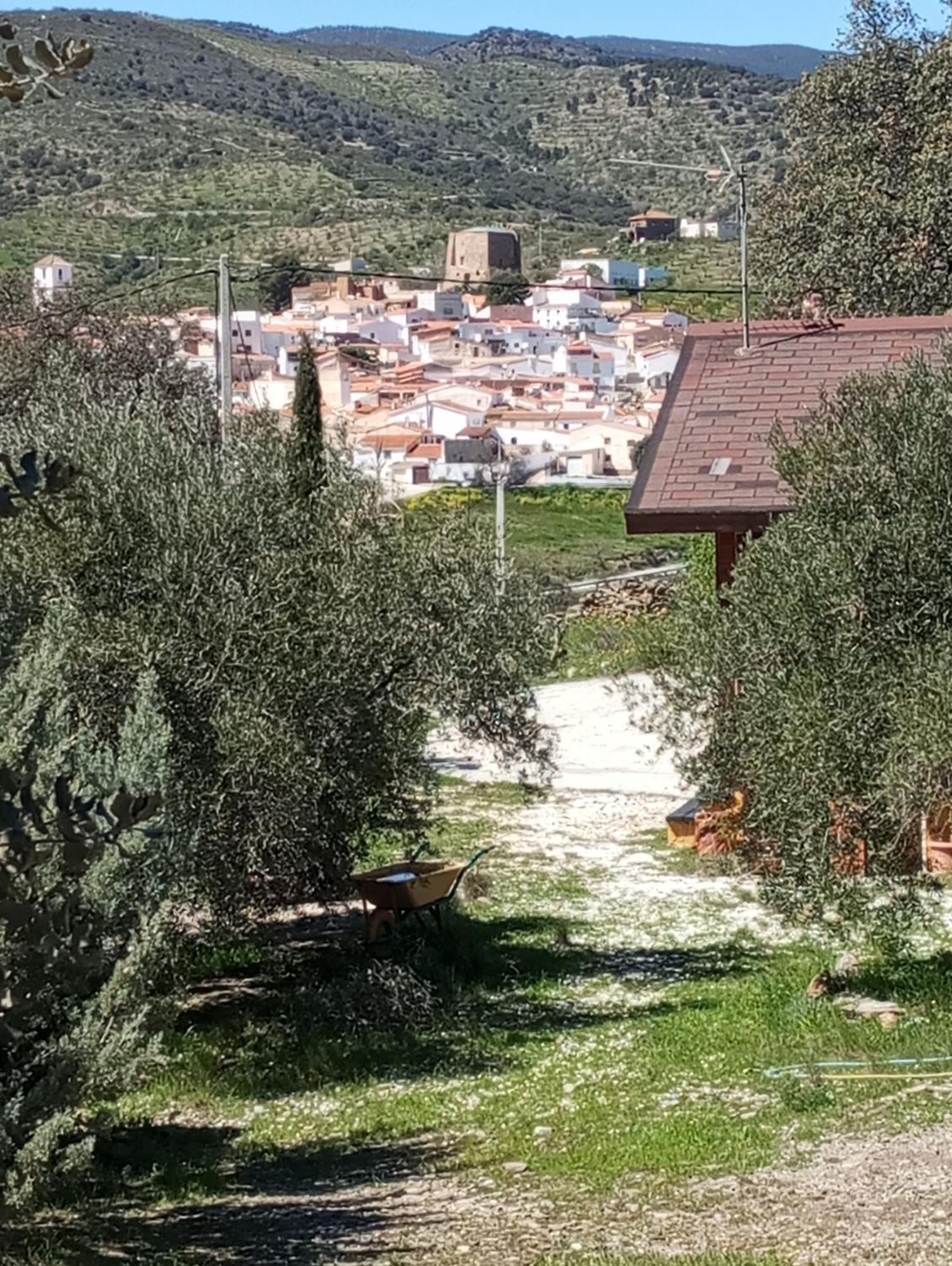 TahalCasa La Colina Mandarina II Casa De Madera别墅 外观 照片